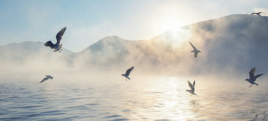 �����ʵ��