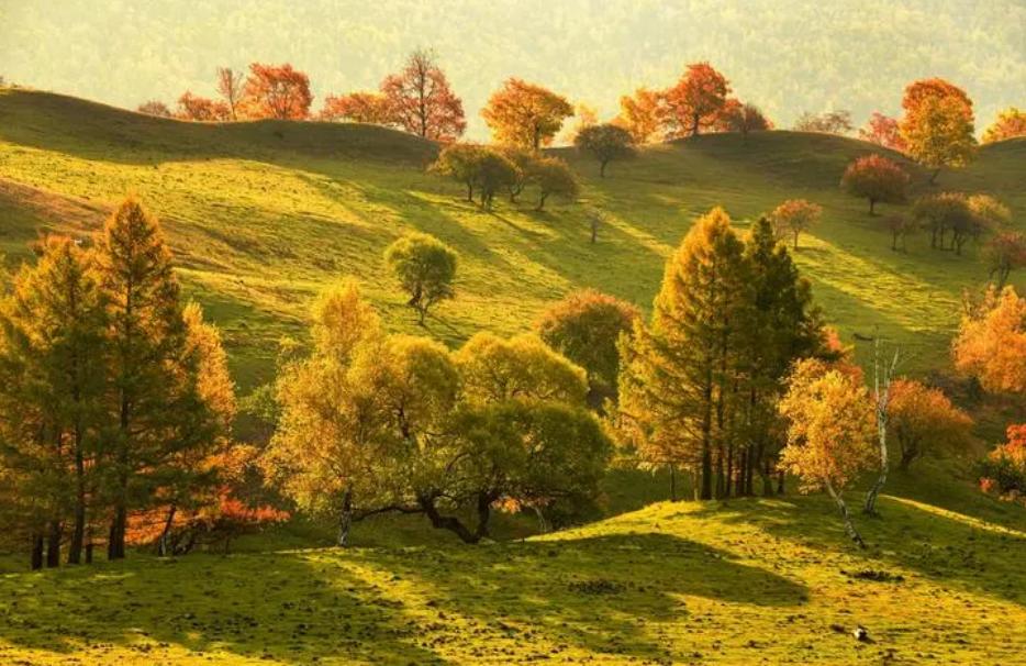 �������